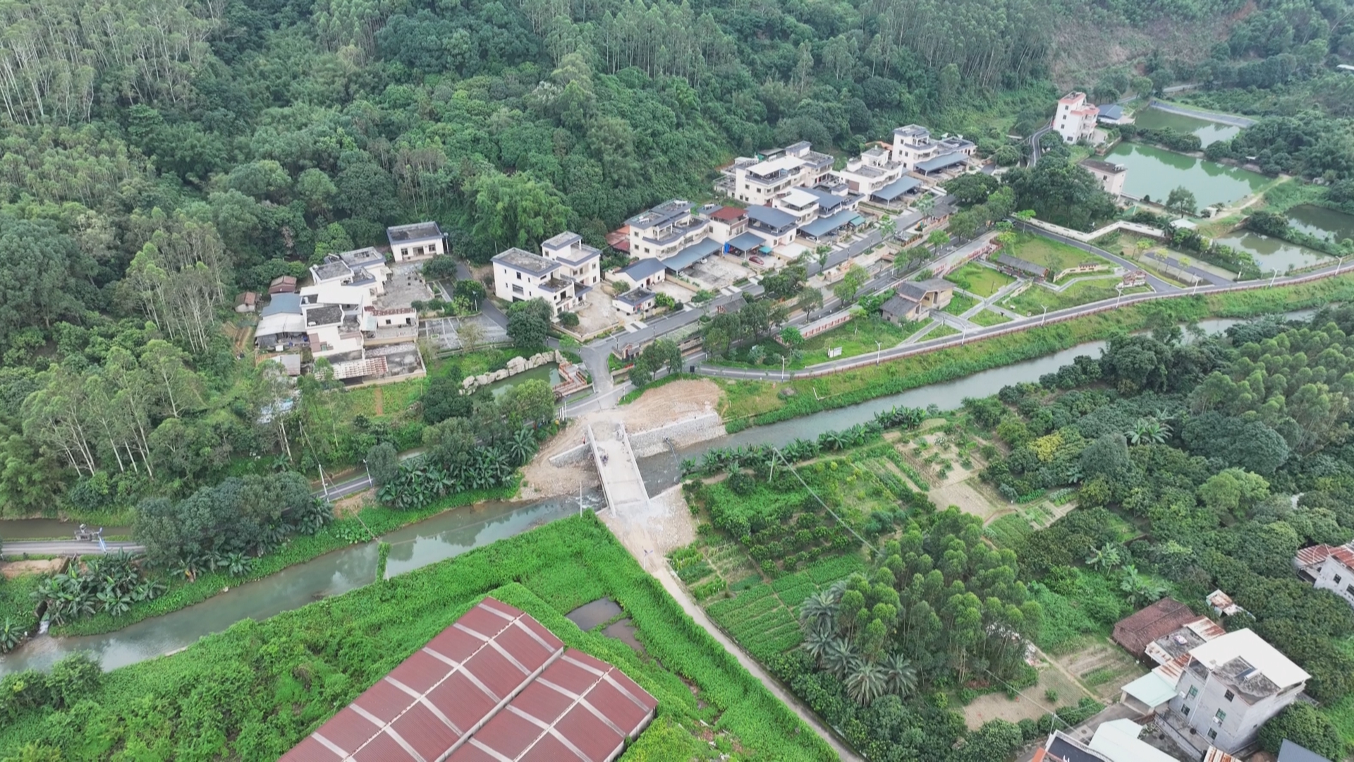 博羅：“美麗庭院”綻放新活力 鄉村增“顏”又升“值”.jpg